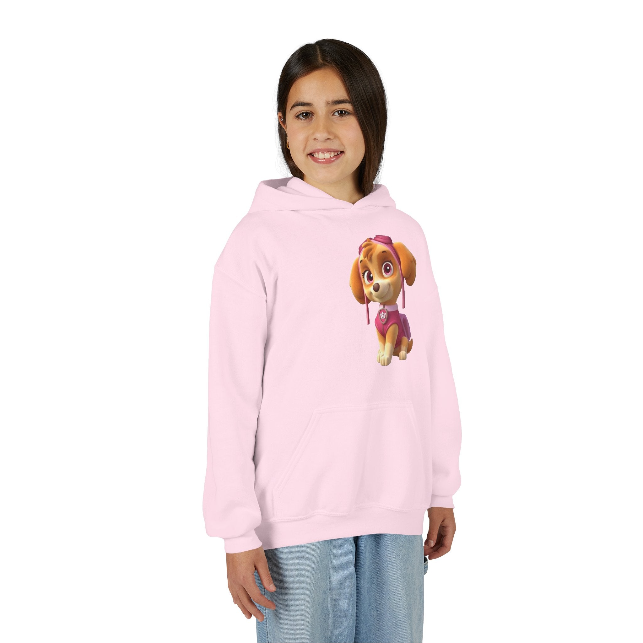 Paw Patrol Youth Hoodie with Skye & Friends