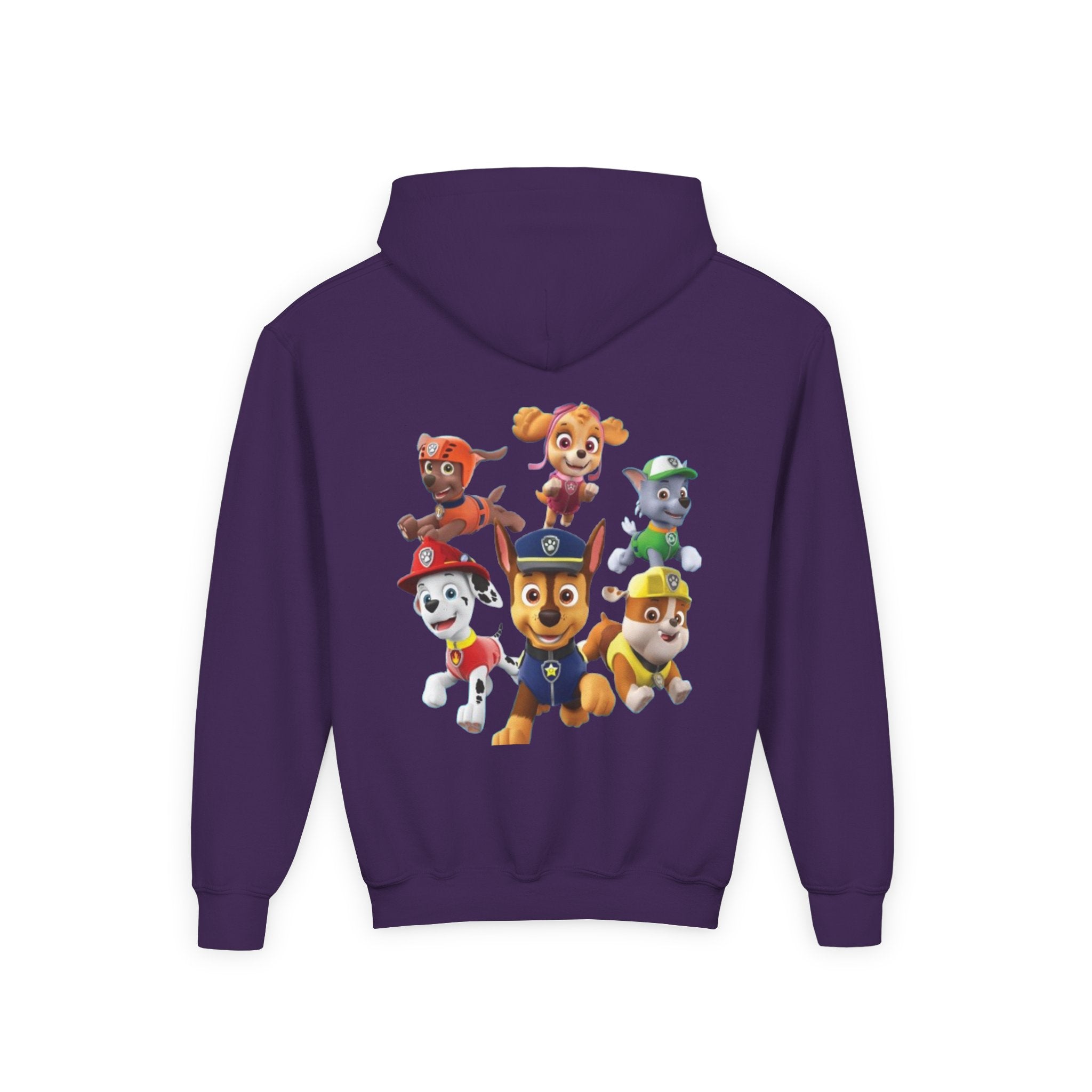 Paw Patrol Youth Hoodie with Skye & Friends
