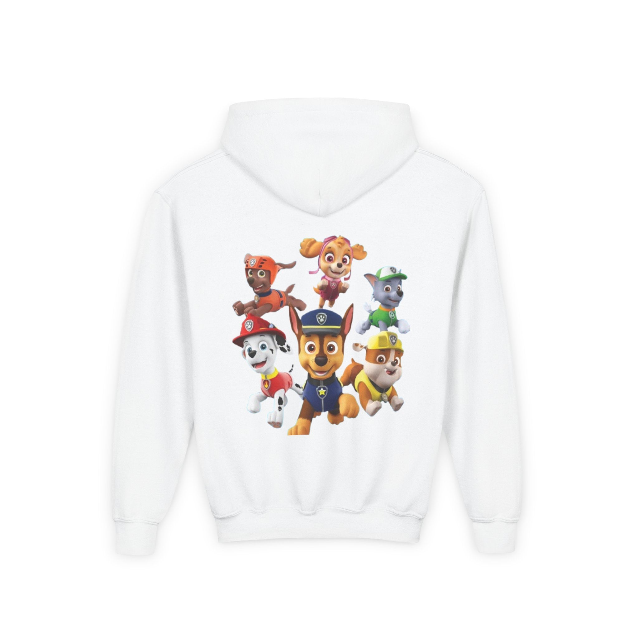 Paw Patrol Youth Hoodie with Skye & Friends