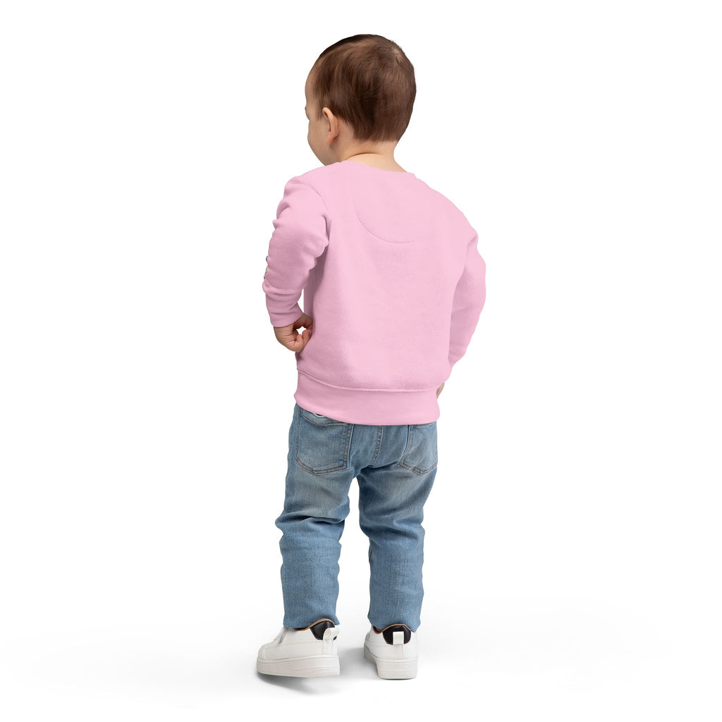 Magical Unicorn Toddler Sweatshirt