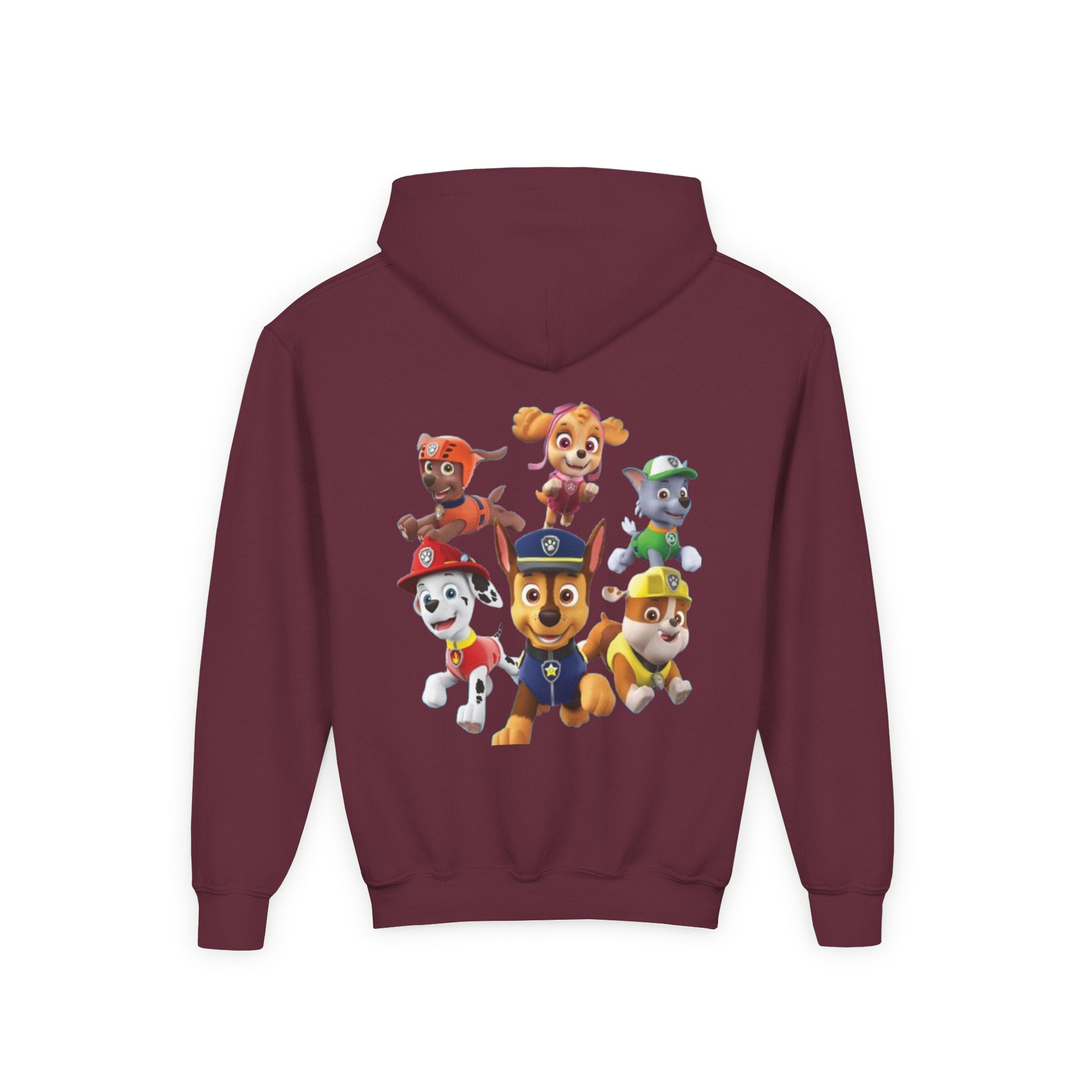 Paw Patrol Youth Hoodie with Skye & Friends