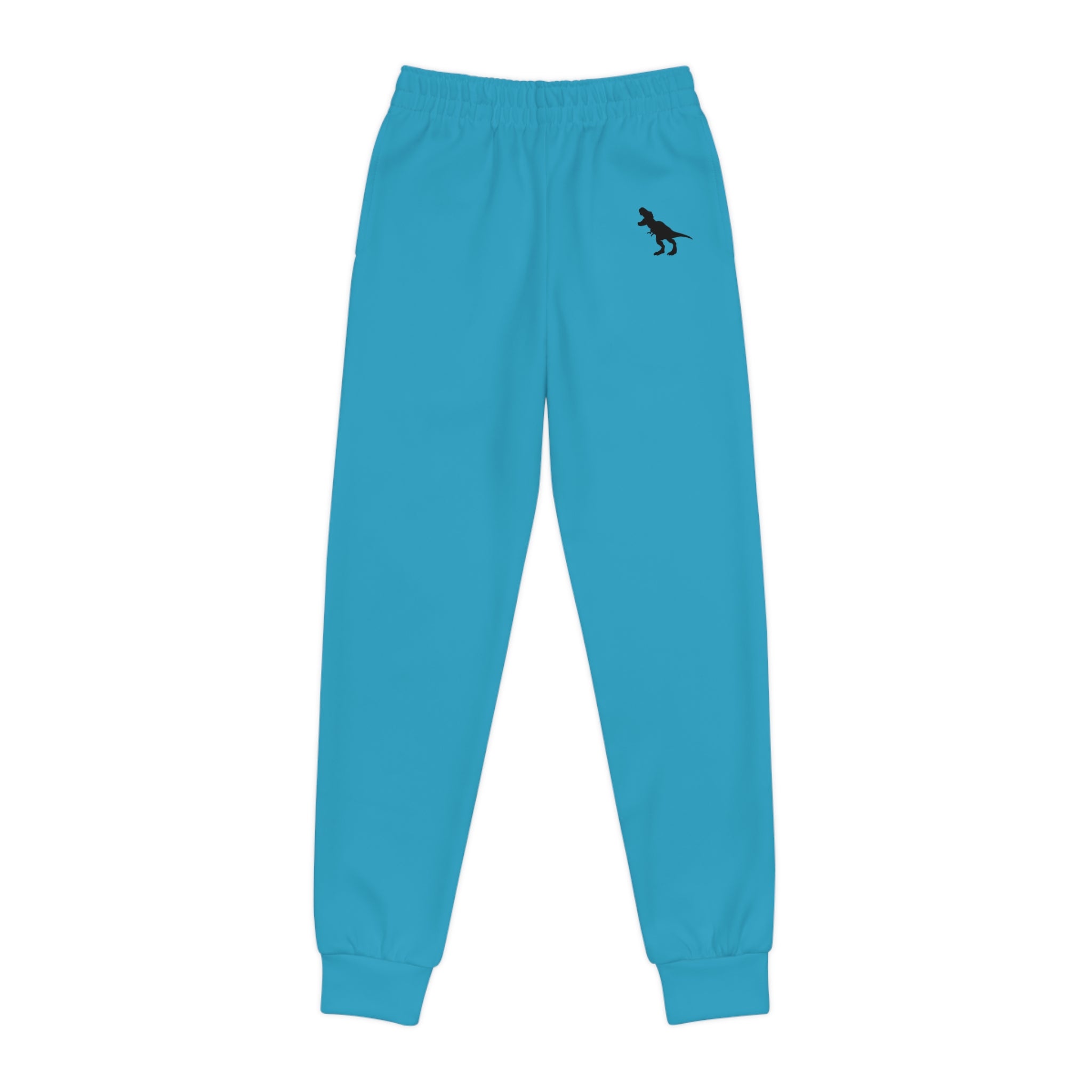 Dinosaur Print Youth Joggers - Fun and Comfy Activewear